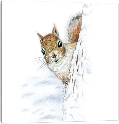 Animals In The Snow: Squirrel Canvas Art Print - Miri Leshem-Pelly
