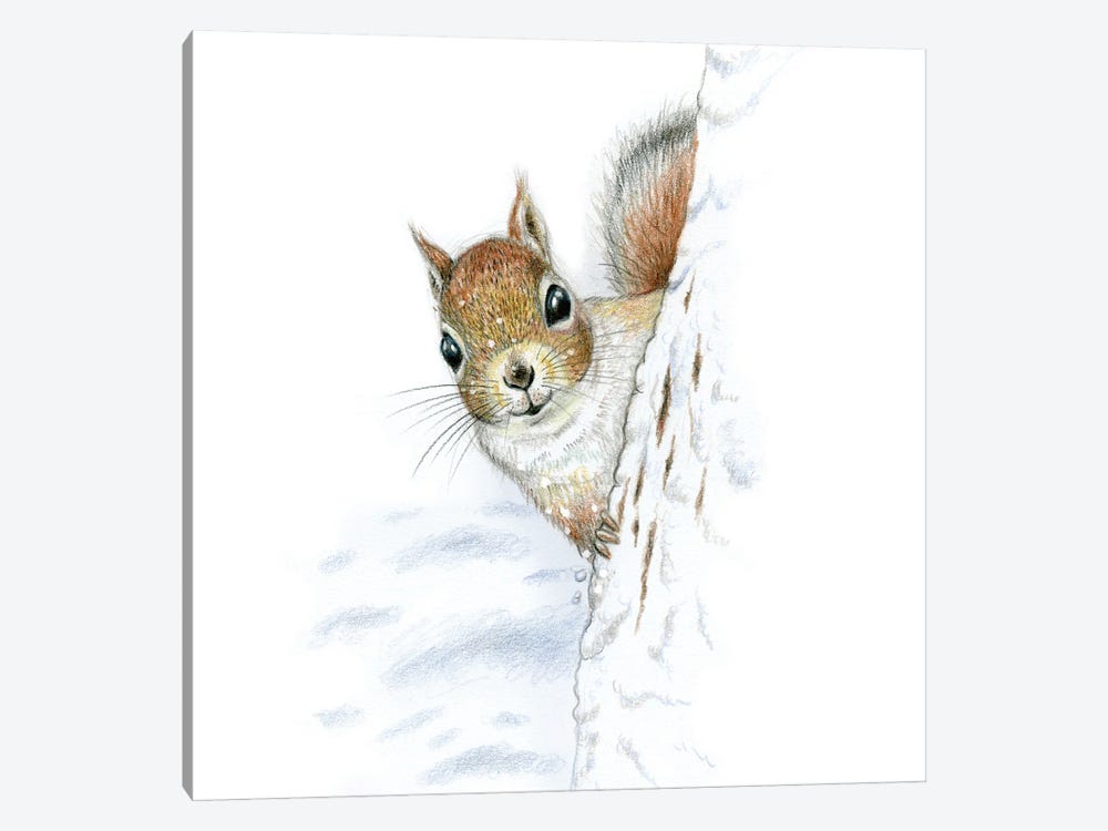 Animals In The Snow: Squirrel by Miri Leshem-Pelly 1-piece Canvas Wall Art