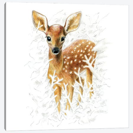 Animals In The Snow: Fawn Canvas Print #MLH109} by Miri Leshem-Pelly Canvas Wall Art