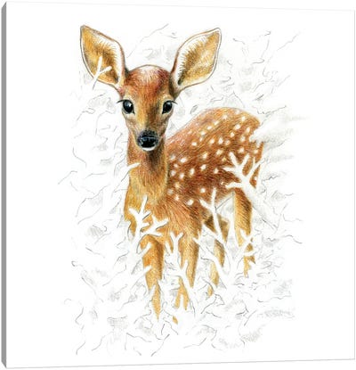 Animals In The Snow: Fawn Canvas Art Print - Miri Leshem-Pelly