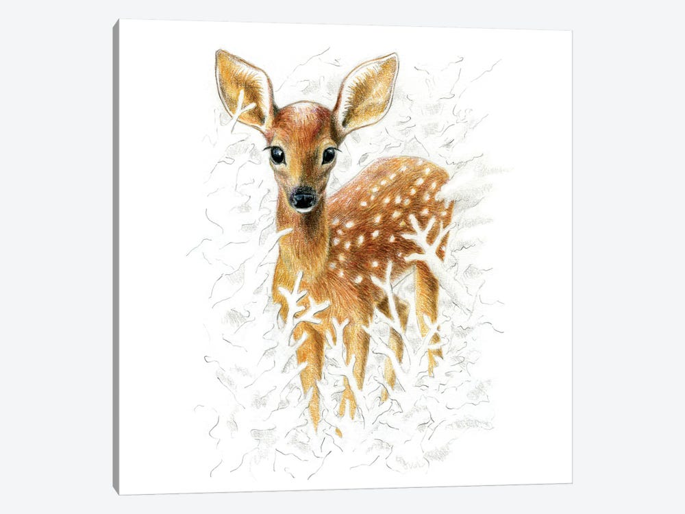 Animals In The Snow: Fawn by Miri Leshem-Pelly 1-piece Canvas Art Print