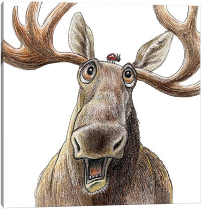 Moose And Beetle Canvas Art Print - Moose Art