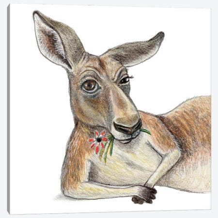 Kangaroo Canvas Print #MLH14} by Miri Leshem-Pelly Canvas Art