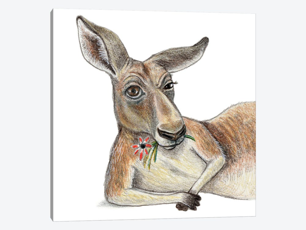 Kangaroo by Miri Leshem-Pelly 1-piece Canvas Artwork