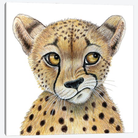 Cheetah Canvas Print #MLH16} by Miri Leshem-Pelly Canvas Art