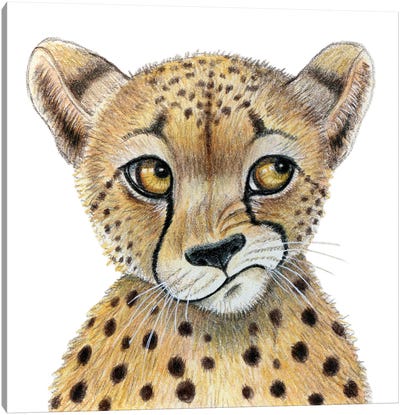 Cheetah Canvas Art Print - Miri Leshem-Pelly