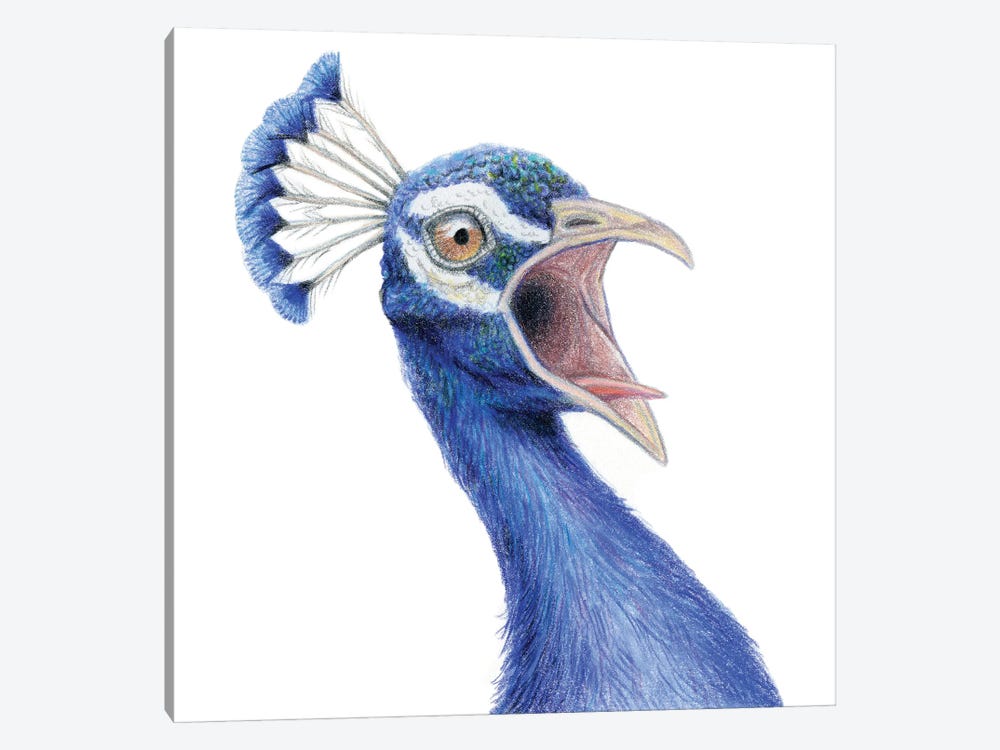 Peacock by Miri Leshem-Pelly 1-piece Canvas Art Print