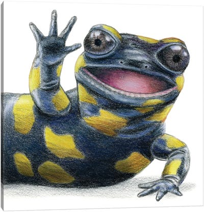 Salamander Canvas Art Print - Animal Illustrations