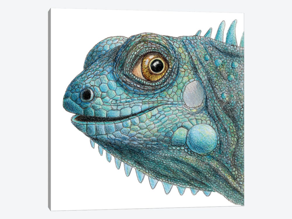 Iguana by Miri Leshem-Pelly 1-piece Canvas Print
