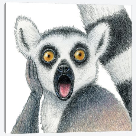 Lemur Canvas Print #MLH21} by Miri Leshem-Pelly Canvas Art