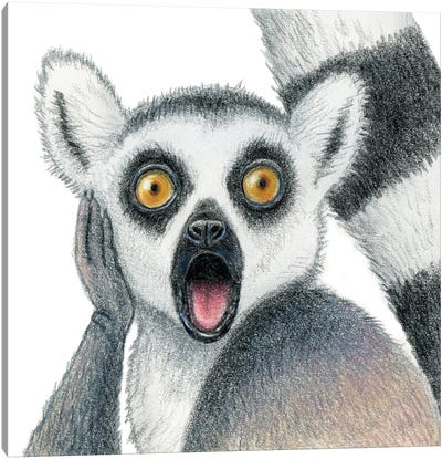 Lemur Canvas Art Print - Miri Leshem-Pelly