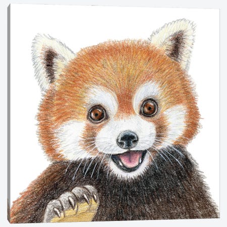 Red Panda Canvas Print #MLH22} by Miri Leshem-Pelly Canvas Artwork