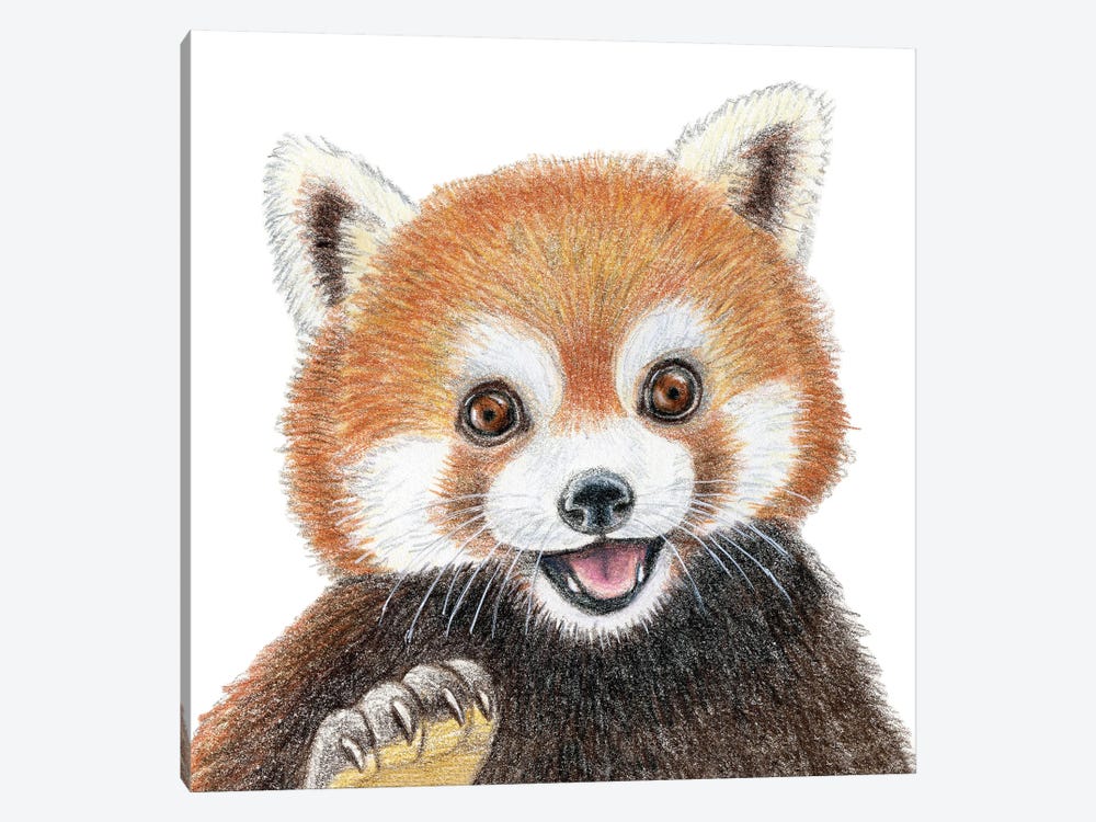 Red Panda by Miri Leshem-Pelly 1-piece Art Print