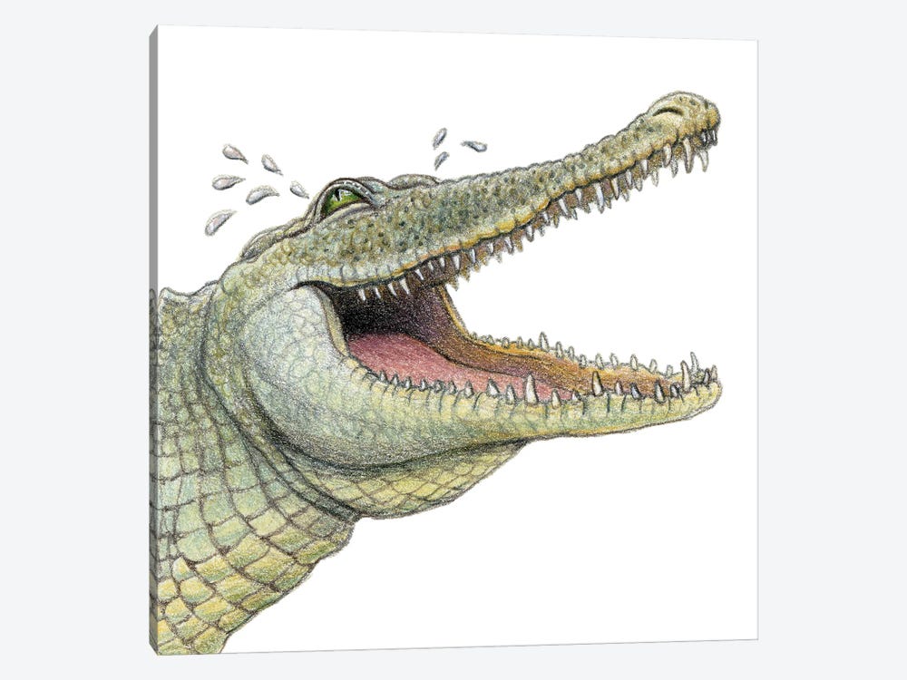 Crocodile by Miri Leshem-Pelly 1-piece Canvas Art Print