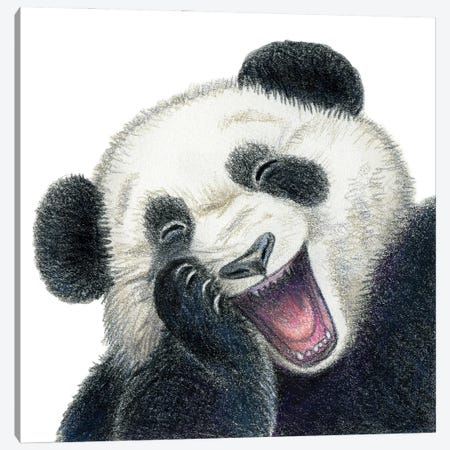 Panda Canvas Print #MLH2} by Miri Leshem-Pelly Canvas Artwork