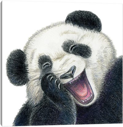 Panda Canvas Art Print - Miri Leshem-Pelly