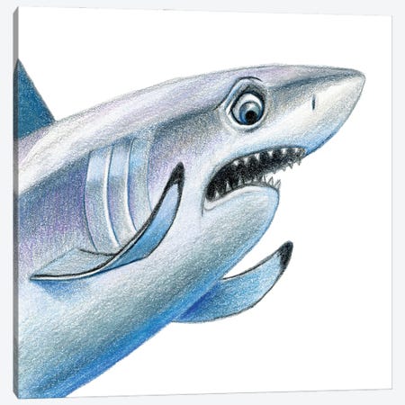 Shark Canvas Print #MLH30} by Miri Leshem-Pelly Canvas Print