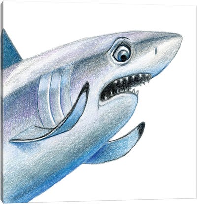 Shark Canvas Art Print - Great White Sharks