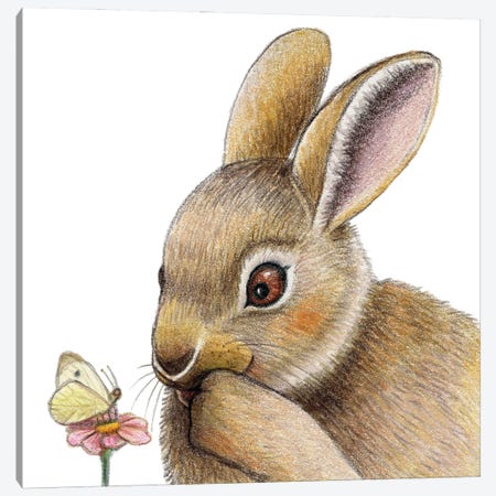 Rabbit Canvas Print #MLH31} by Miri Leshem-Pelly Art Print