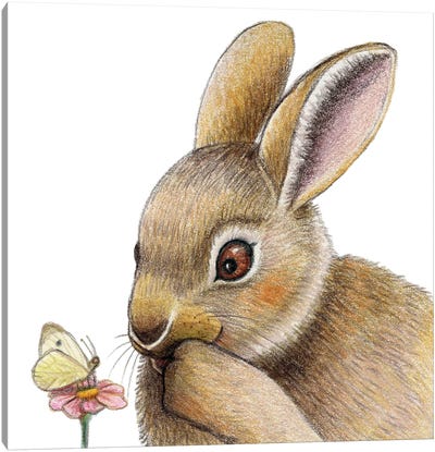 Rabbit Canvas Art Print - Miri Leshem-Pelly