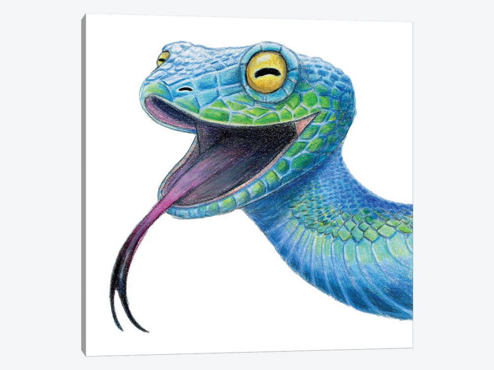Snake by Miri Leshem-Pelly 1-piece Canvas Artwork