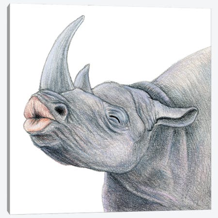 Rhino Canvas Print #MLH38} by Miri Leshem-Pelly Canvas Art Print