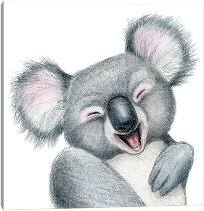 Koala Canvas Art Print - Miri Leshem-Pelly