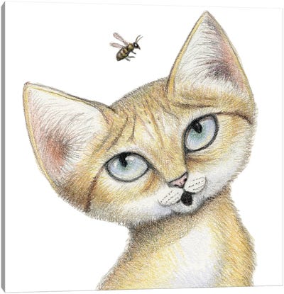 Sand Cat Canvas Art Print - Miri Leshem-Pelly