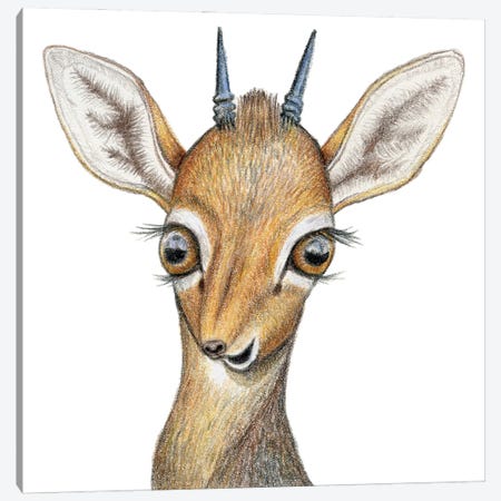 Antelope Canvas Print #MLH46} by Miri Leshem-Pelly Canvas Art Print