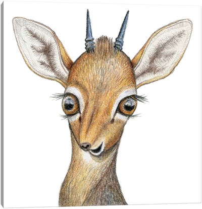 Antelope Canvas Art Print - Antelope Art