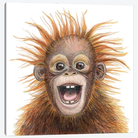 Orangutan Canvas Print #MLH53} by Miri Leshem-Pelly Art Print