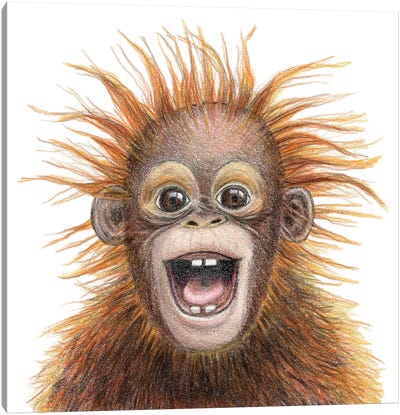 Orangutan Canvas Art Print - Orangutans