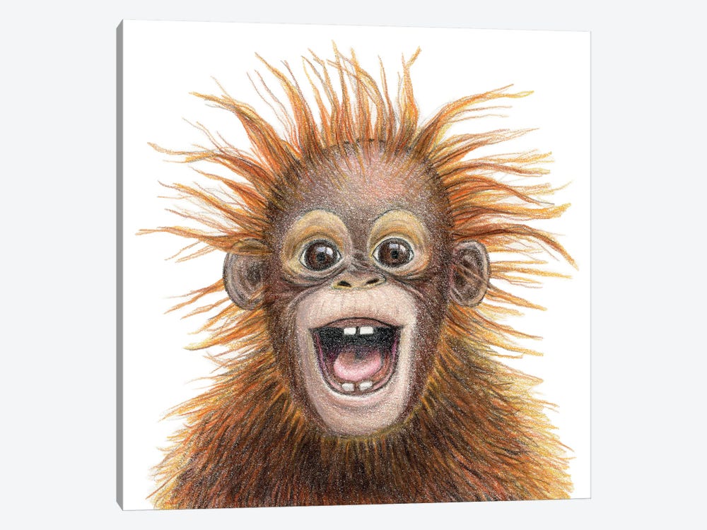 Orangutan by Miri Leshem-Pelly 1-piece Canvas Print