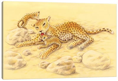 Leopard Family Canvas Art Print - Miri Leshem-Pelly