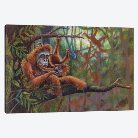 Orangutan Jungle Canvas Print #MLH58} by Miri Leshem-Pelly Art Print