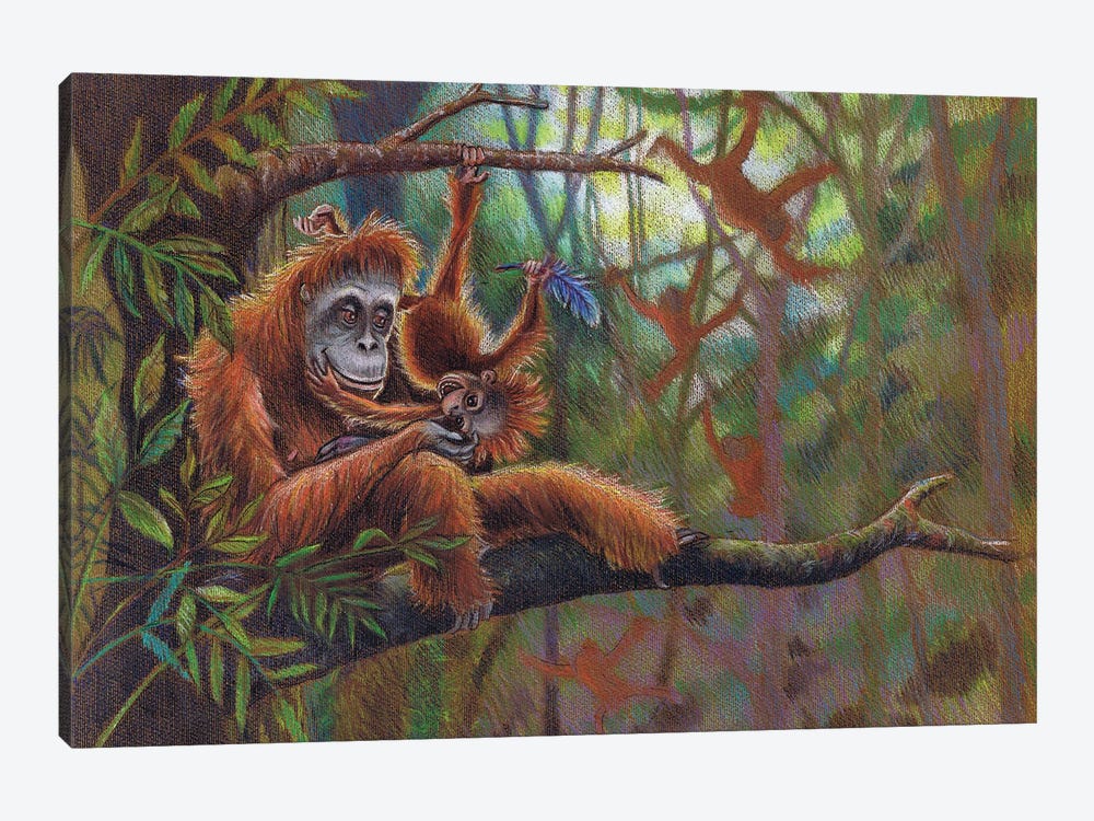 Orangutan Jungle by Miri Leshem-Pelly 1-piece Canvas Artwork