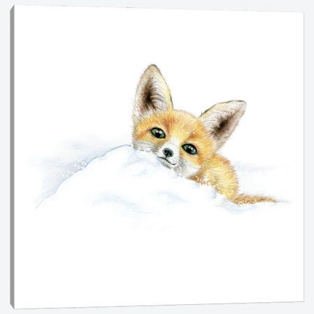 Animals in the Snow: Fox Canvas Print #MLH59} by Miri Leshem-Pelly Canvas Print