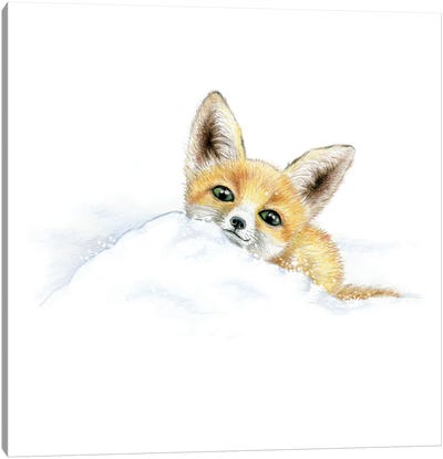 Animals in the Snow: Fox Canvas Art Print - Miri Leshem-Pelly