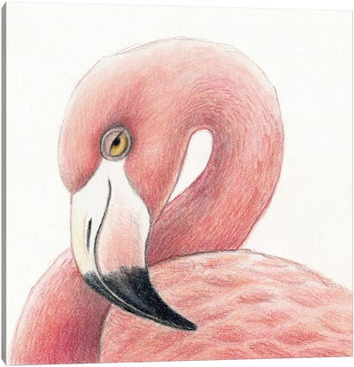 Flamingo Canvas Art Print - Miri Leshem-Pelly