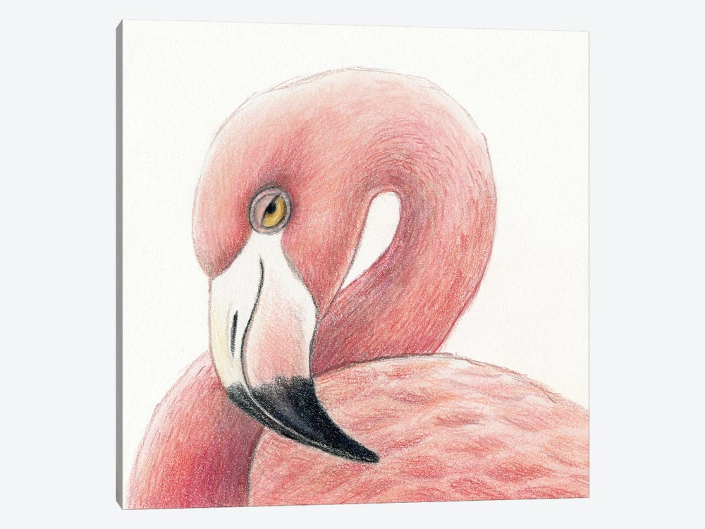 Flamingo by Miri Leshem-Pelly 1-piece Canvas Art