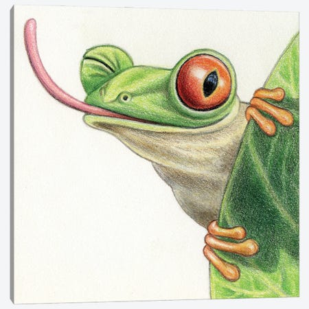 Tree Frog Canvas Print #MLH66} by Miri Leshem-Pelly Art Print