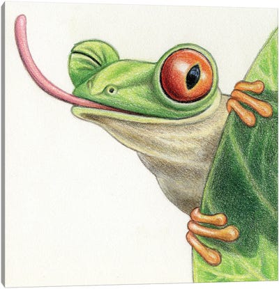 Tree Frog Canvas Art Print - Miri Leshem-Pelly