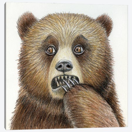 Bear Canvas Print #MLH68} by Miri Leshem-Pelly Canvas Art