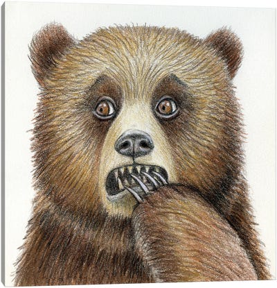 Bear Canvas Art Print - Miri Leshem-Pelly