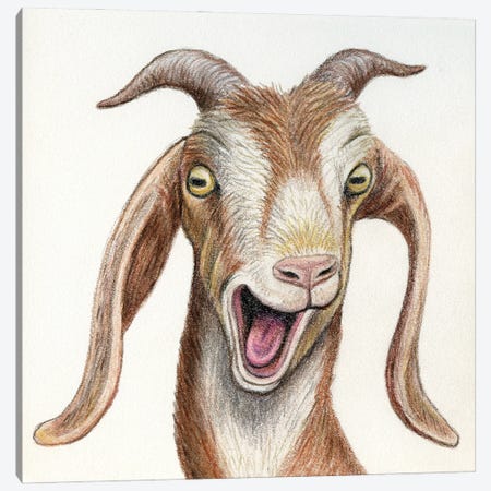 Goat Canvas Print #MLH69} by Miri Leshem-Pelly Canvas Art