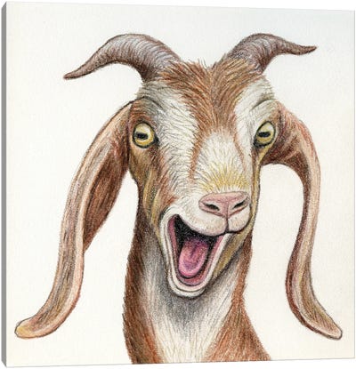 Goat Canvas Art Print - Miri Leshem-Pelly