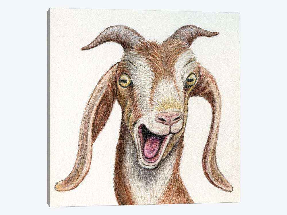 Goat by Miri Leshem-Pelly 1-piece Canvas Wall Art