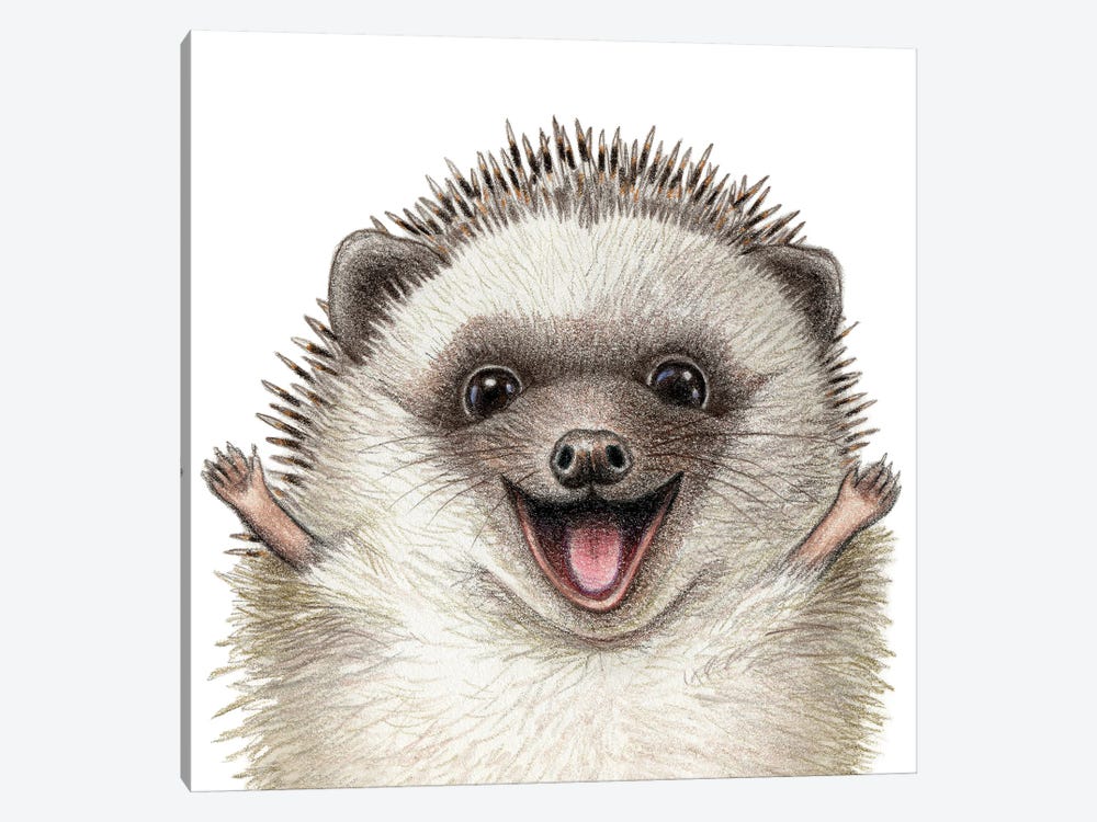 Hedgehog by Miri Leshem-Pelly 1-piece Canvas Art