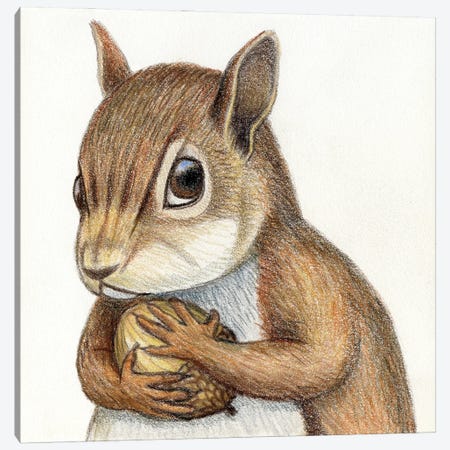 Squirrel Canvas Print #MLH72} by Miri Leshem-Pelly Canvas Print