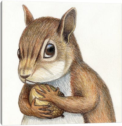 Squirrel Canvas Art Print - Miri Leshem-Pelly